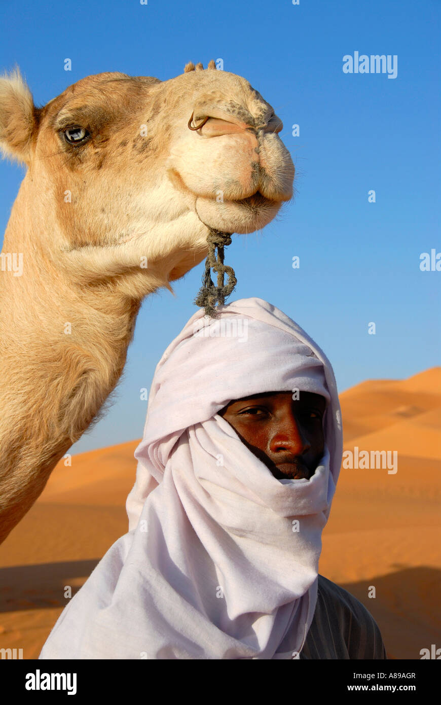 Tuareg unter dem Kopf eines Kamels in Sanddünen Mandara Libyen Stockfoto