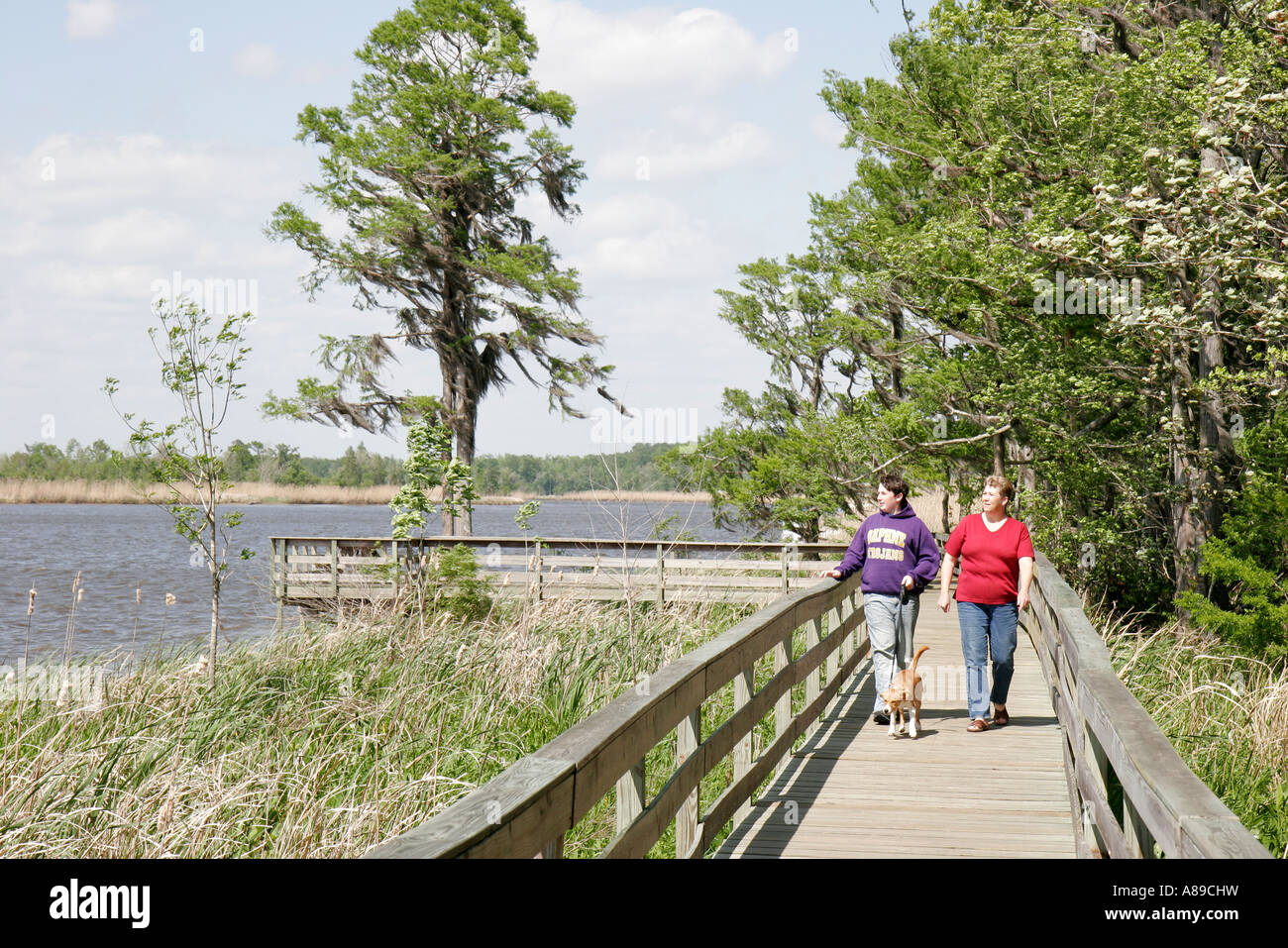 Alabama Baldwin County, historischer Blakeley State Park, Tensaw River Water Nature Boardwalk, Besucher reisen Reise touristischer Tourismus Wahrzeichen landma Stockfoto