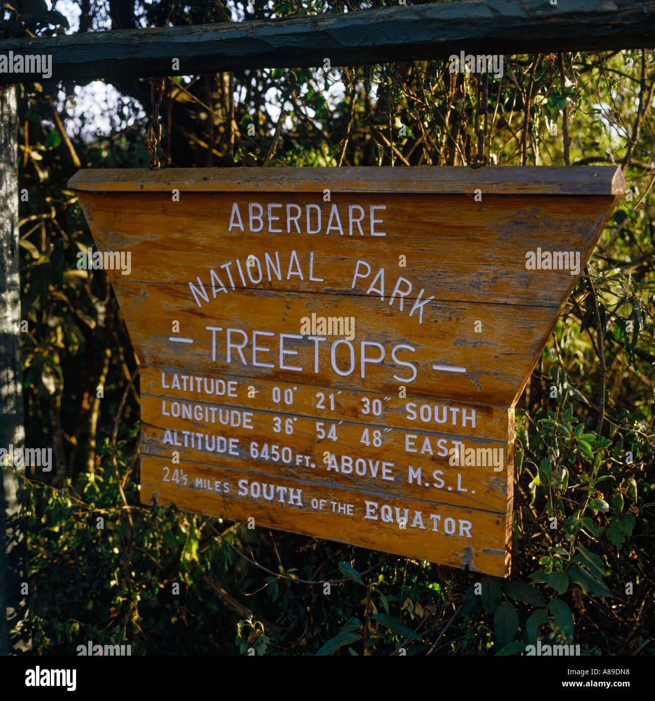 Geschnitzte hölzerne Schild am Eingang zur berühmten Baumkronen Safari Lodge in Aberdare Nationalpark, Kenia Stockfoto