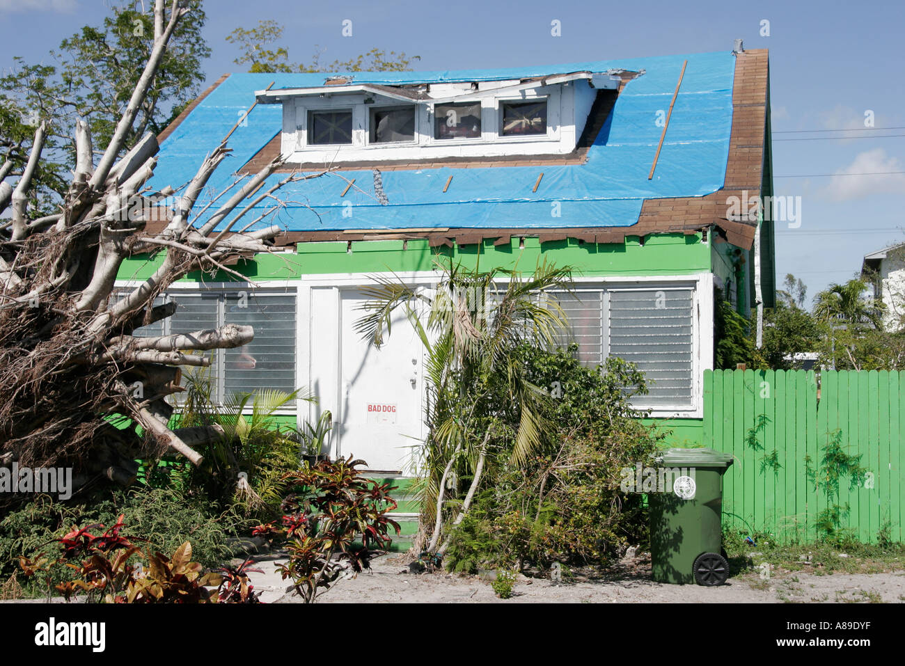 Miami Florida, Little Haiti, Wetter, Unwetter, Haus, Häuser, niedriges Einkommen, Armut, Nachbarschaft, blaue Plane, Dach, FL060228288 Stockfoto