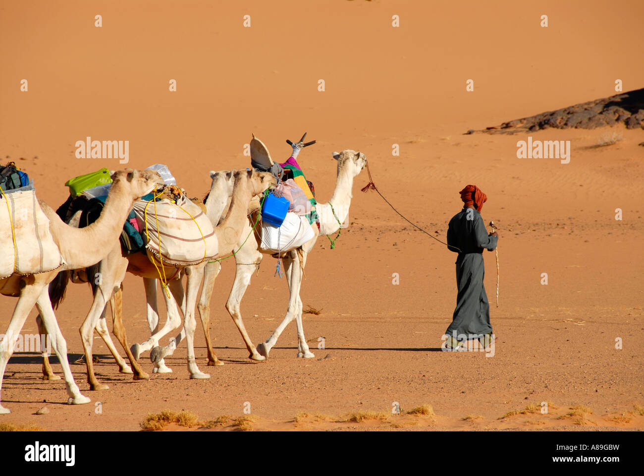 Tuareg geht mit Kamelen durch die Wüste Acacus Libyen Stockfoto