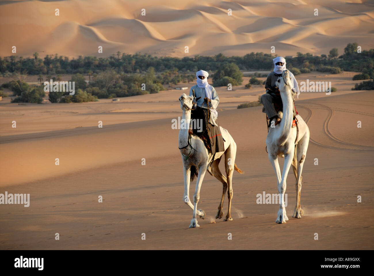 Zwei Tuareg fahren elegant auf ihren Kamelen in der Wüste Mandara, libysche Wüste, Sahara, Libyen Stockfoto