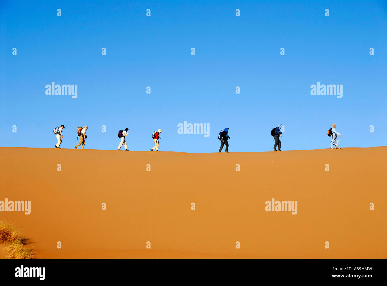 Trekkingtouristen Wüste wandern nacheinander auf einer Dünen in der Nähe von Mhamid Marokko Stockfoto