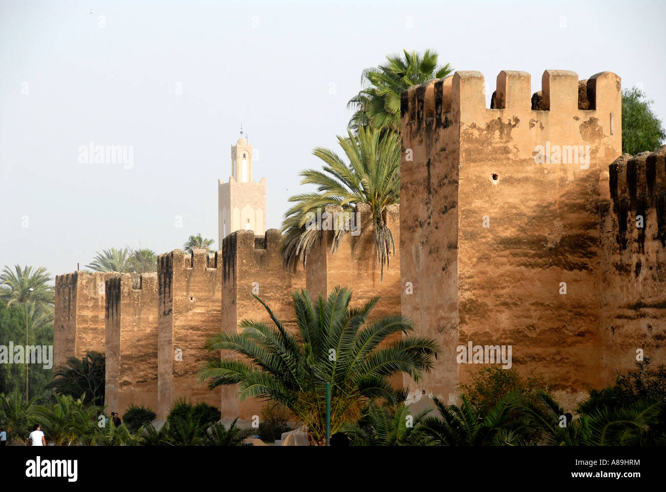 Mächtige Stadtmauer mit Minarett Taroudannt südwestlichen Marokko Stockfoto