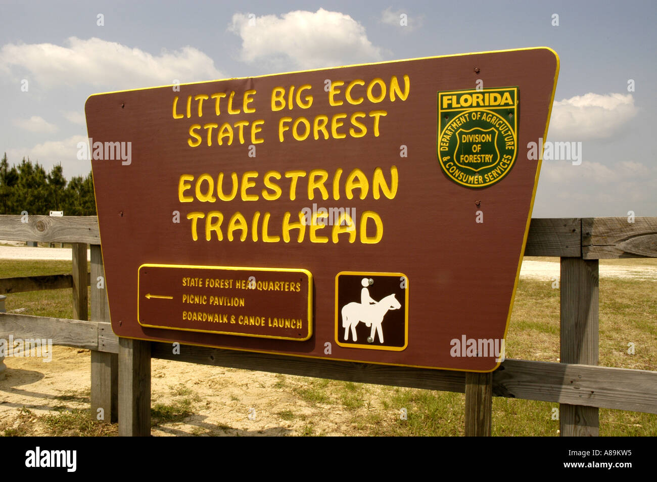 Florida State forest kaum große Econ Fluss Pferdesport Anzeichen Stockfoto