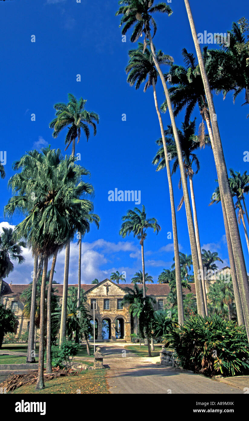 Barbados Codrington College Nationaldenkmal Palmen Stockfoto