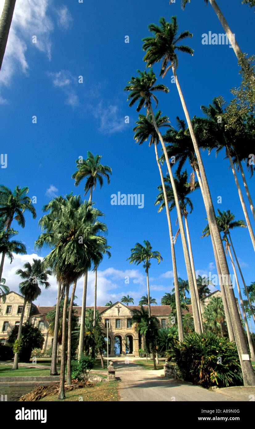 Barbados Codrington College Nationaldenkmal mit Palm-Baum-Straße Stockfoto