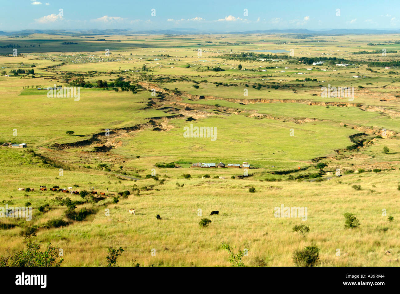 Bodenerosion in der Nähe von Loskop in der zentralen Drakensberge in Kwazulu-Natal Provinz Südafrikas. Stockfoto