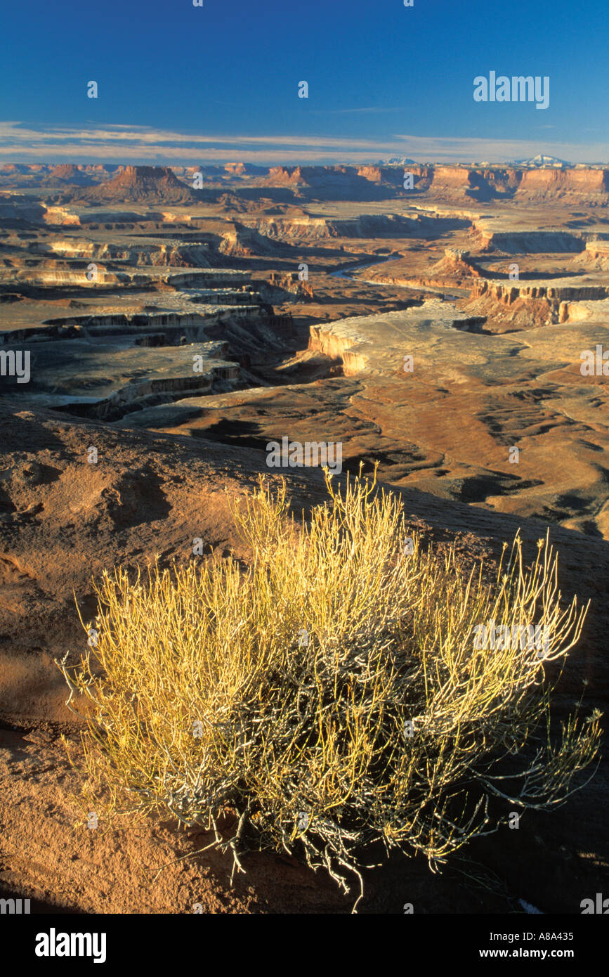 Ansicht des Green River von Green River Overlook Island in den Himmel District Canyonlands National Park in Utah Stockfoto