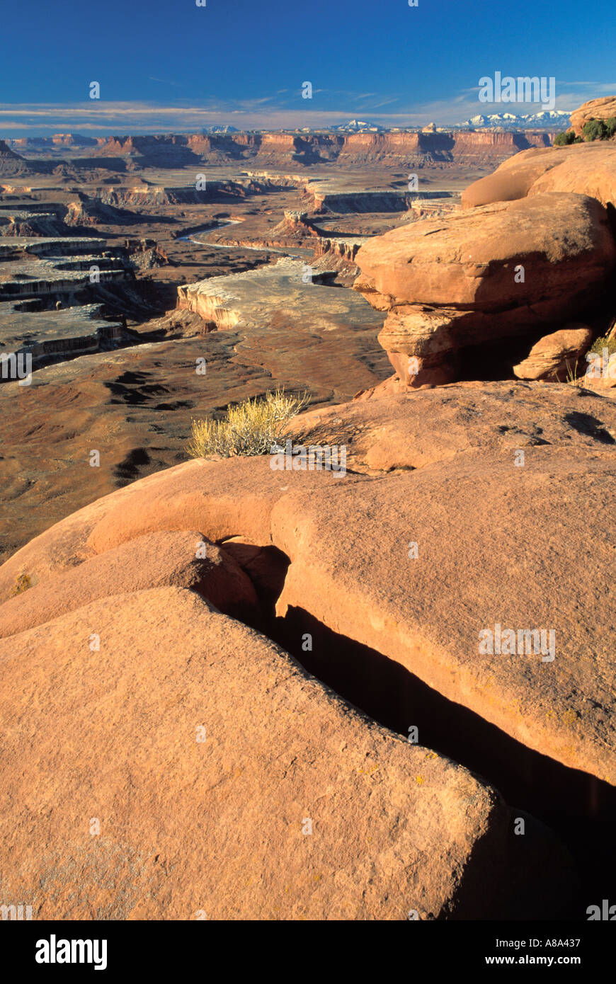 Ansicht des Green River von Green River Overlook Island in den Himmel District Canyonlands National Park in Utah Stockfoto