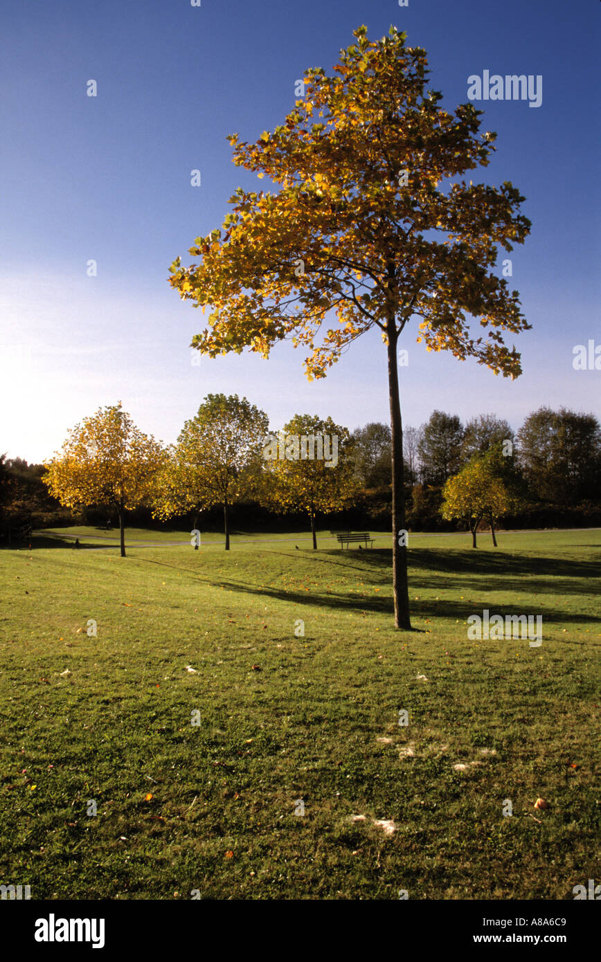 Jericho Beach Park, Vancouver, Kanada Stockfoto