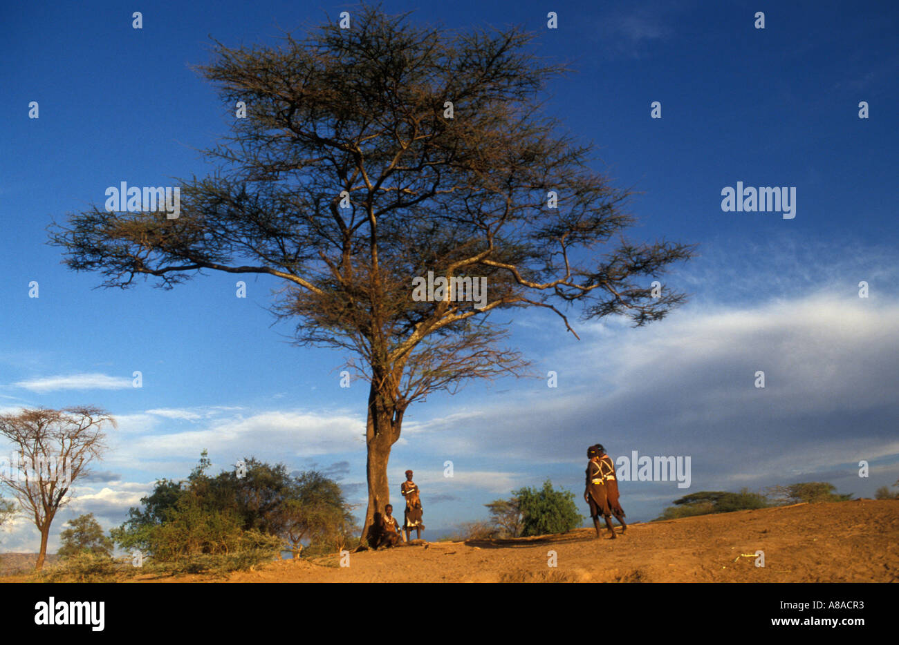 Karo Frauen, Murelle, South Omo Valley, Äthiopien Stockfoto