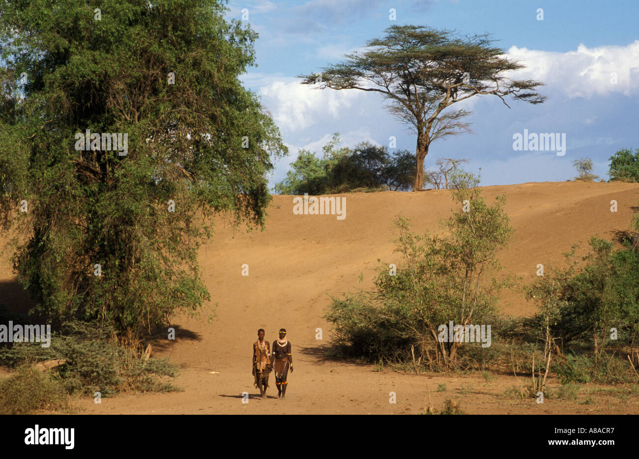 Karo Frauen, Murelle, South Omo Valley, Äthiopien Stockfoto