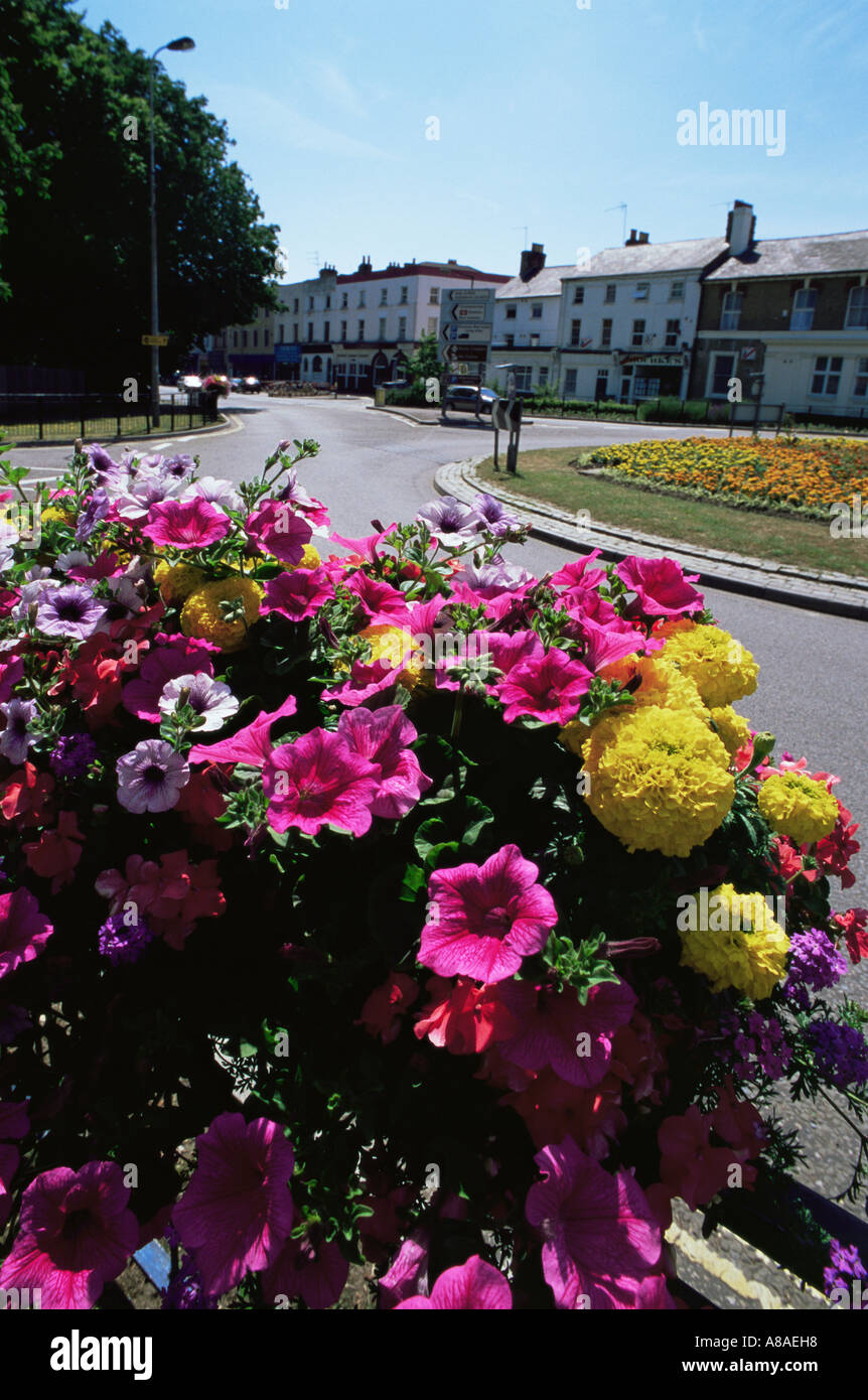 Aldershot im Sommer Stockfoto
