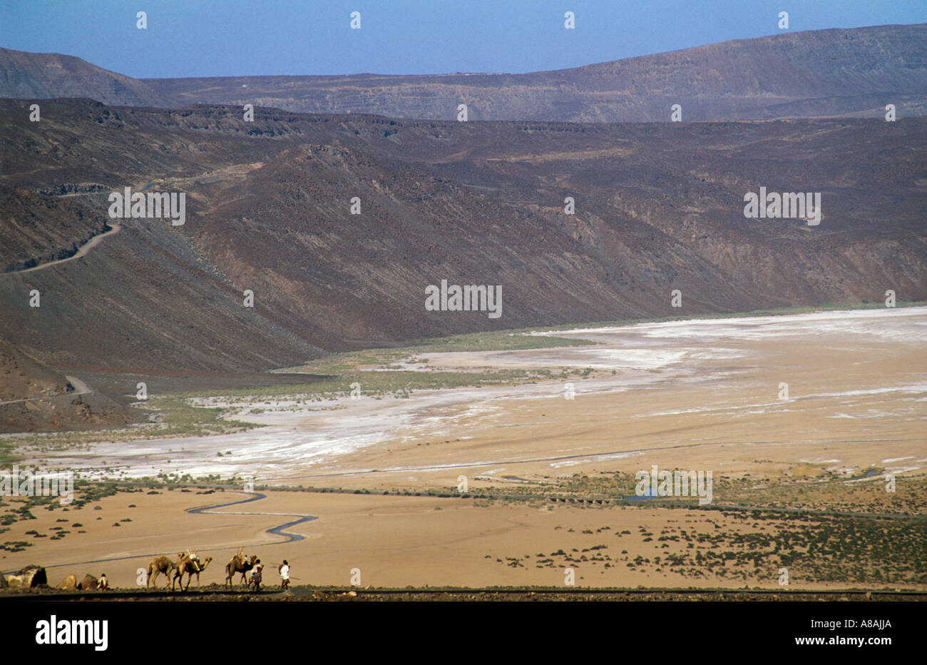 Der Ferne Salz Wohnwagen absteigend, die Eli Dar Tiefdruckgebiet salt Lake um Salz, Danakil Wüste, Äthiopien zu sammeln Stockfoto