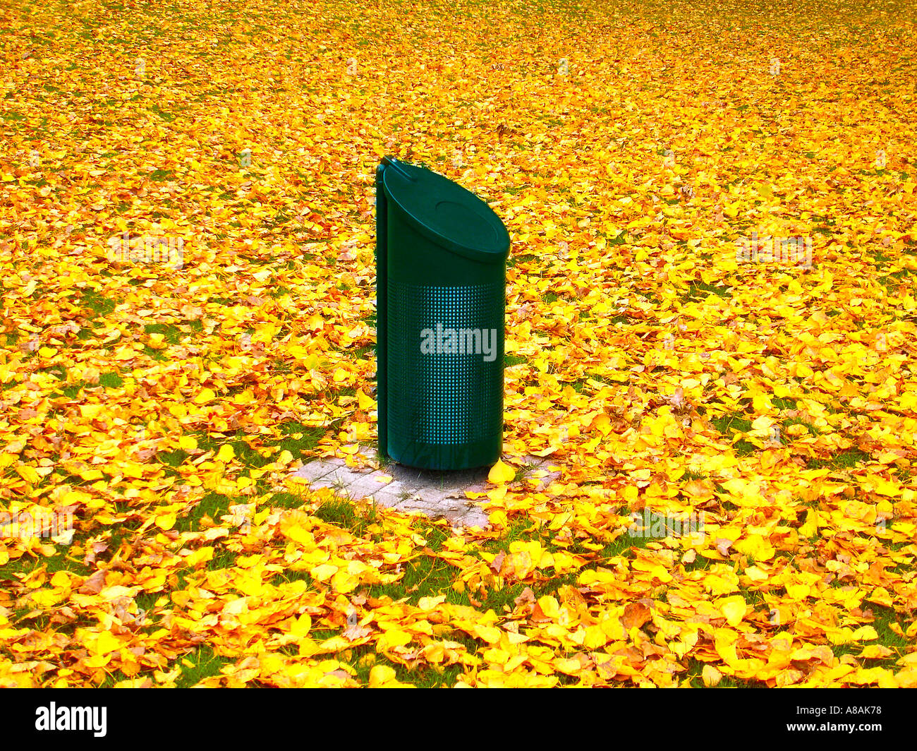 Müll kann auf einer Wiese Mülleimer Auf Wiese Mit Herbstlaub Stockfoto