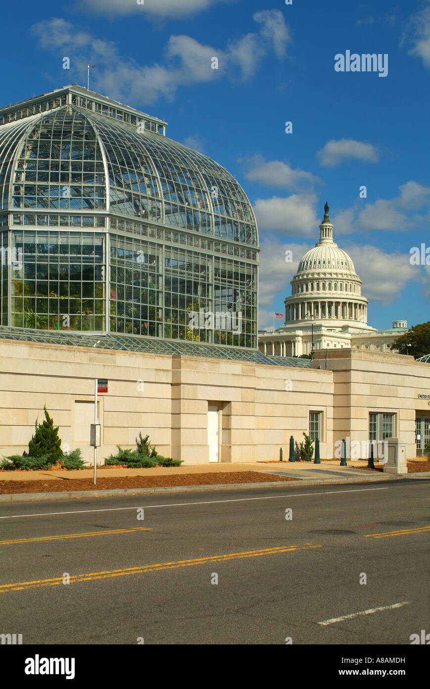 USA Washington DC U S Botanischer Garten Wintergarten und U S Capitol Bldg Stockfoto