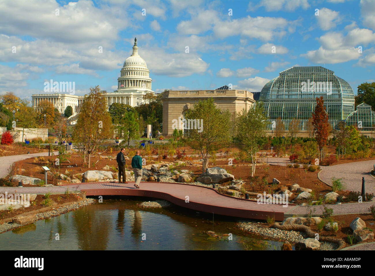 USA Washington DC U S Botanischer Garten Wintergarten und U S Capitol Bldg Stockfoto