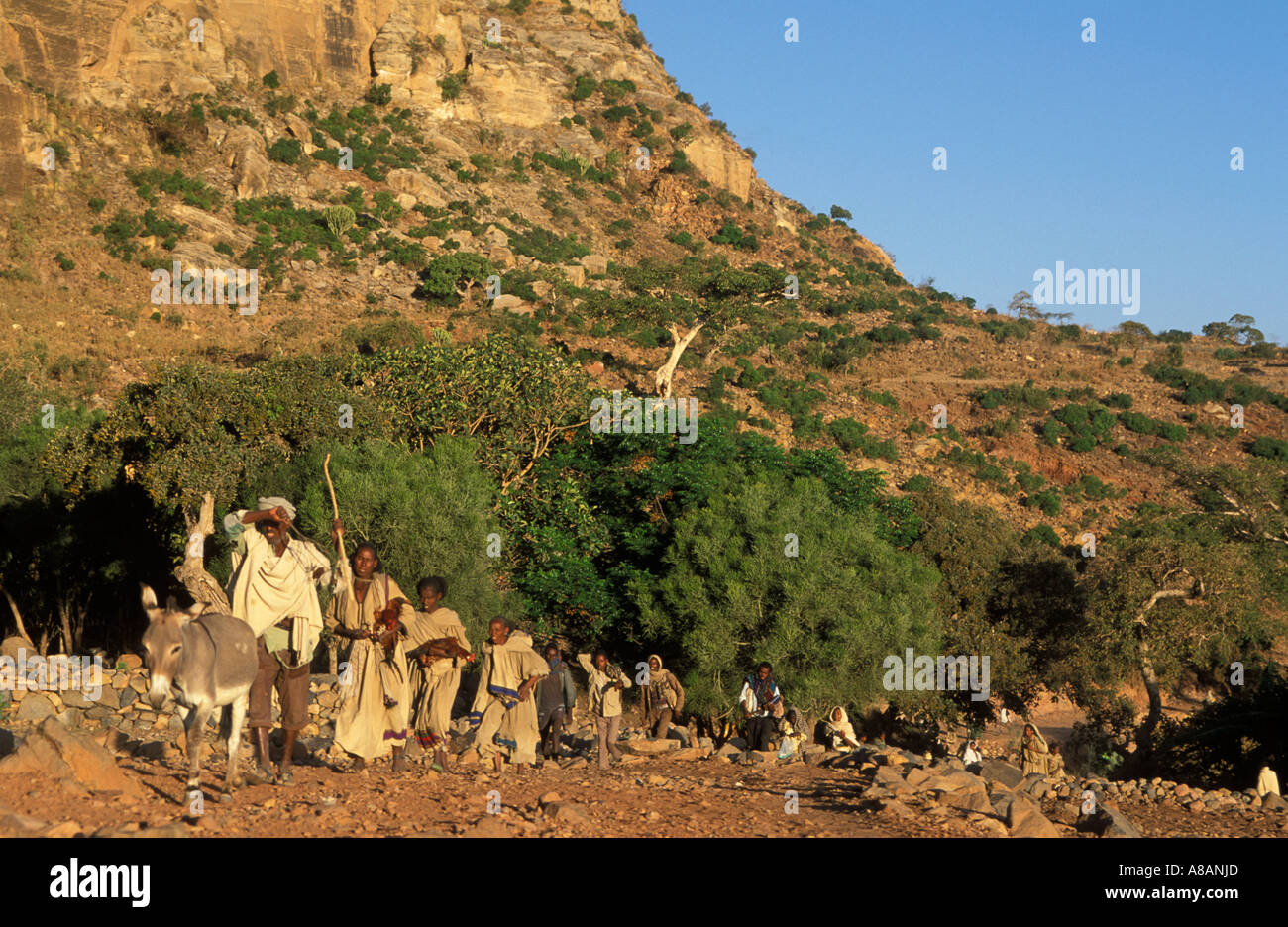 Menschen zu Fuß auf den Markt, östlichen Tigray, Äthiopien Stockfoto