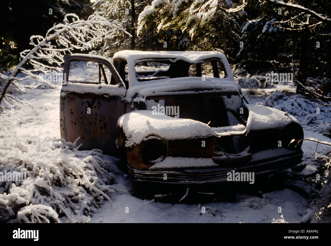 WINTERSCHNEE bedeckt aufgegeben Auto in Zentral-OREGON WINEMA NATIONAL FOREST Stockfoto