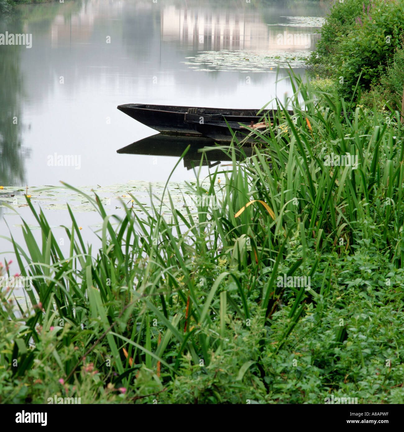 Punt auf Sevre Niortaise bei La Sotterie nahe Coulon Marais Poitevin Frankreich Stockfoto