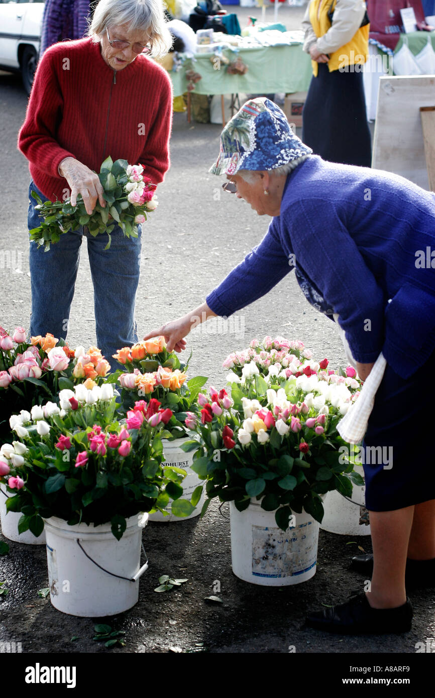 Blumen zum Verkauf Stockfoto