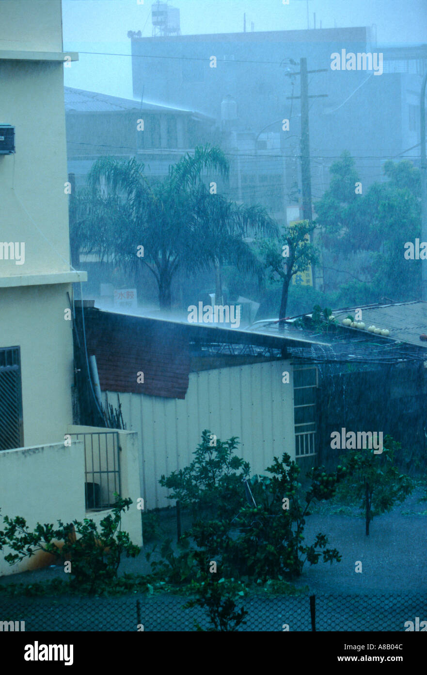 Tropischen Regenguss Hu Wei Taiwan Stockfoto