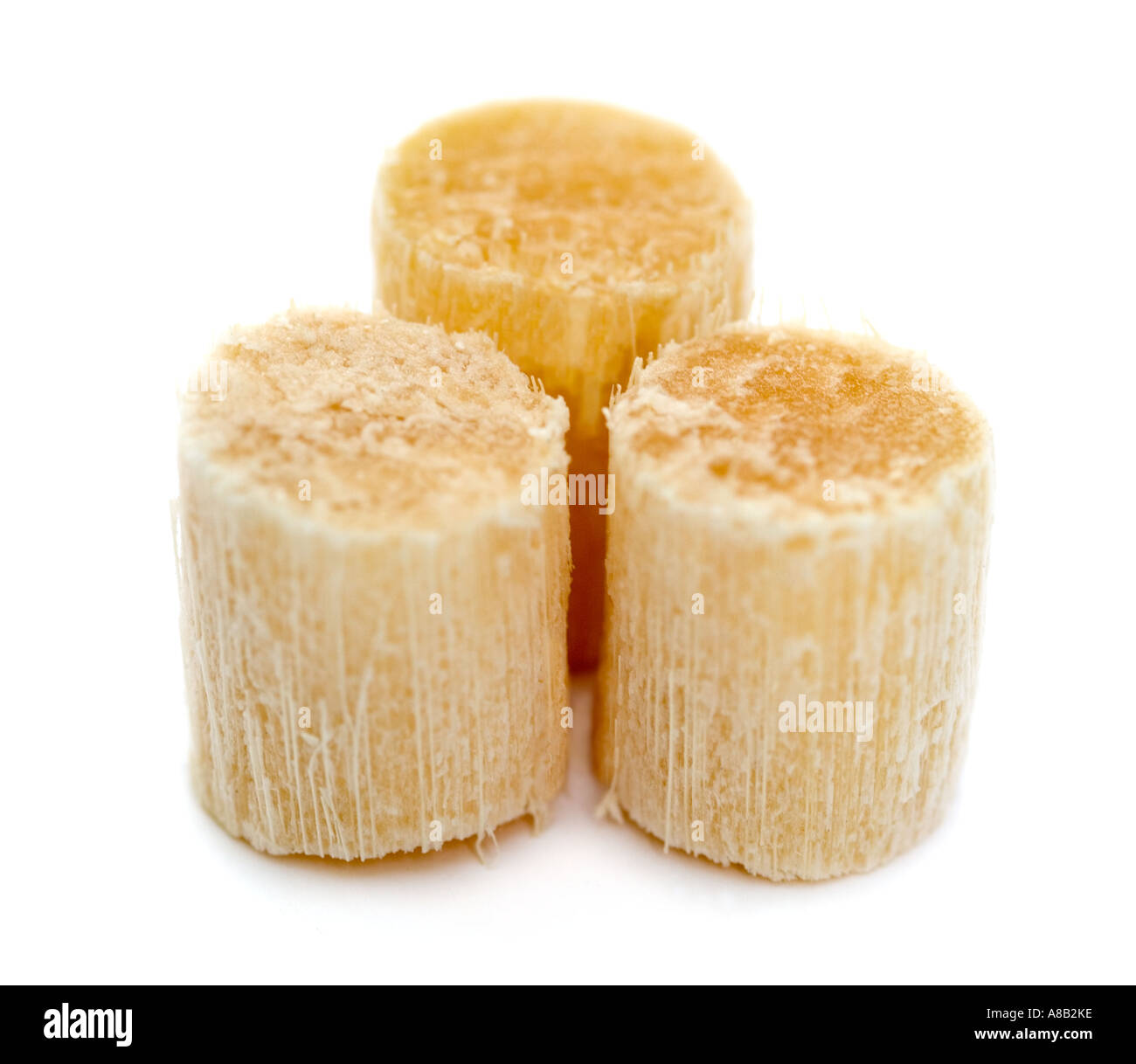 Geschnittenen Stängel von rohen Zuckerrohr erschossen vor einem weißen Hintergrund Stockfoto