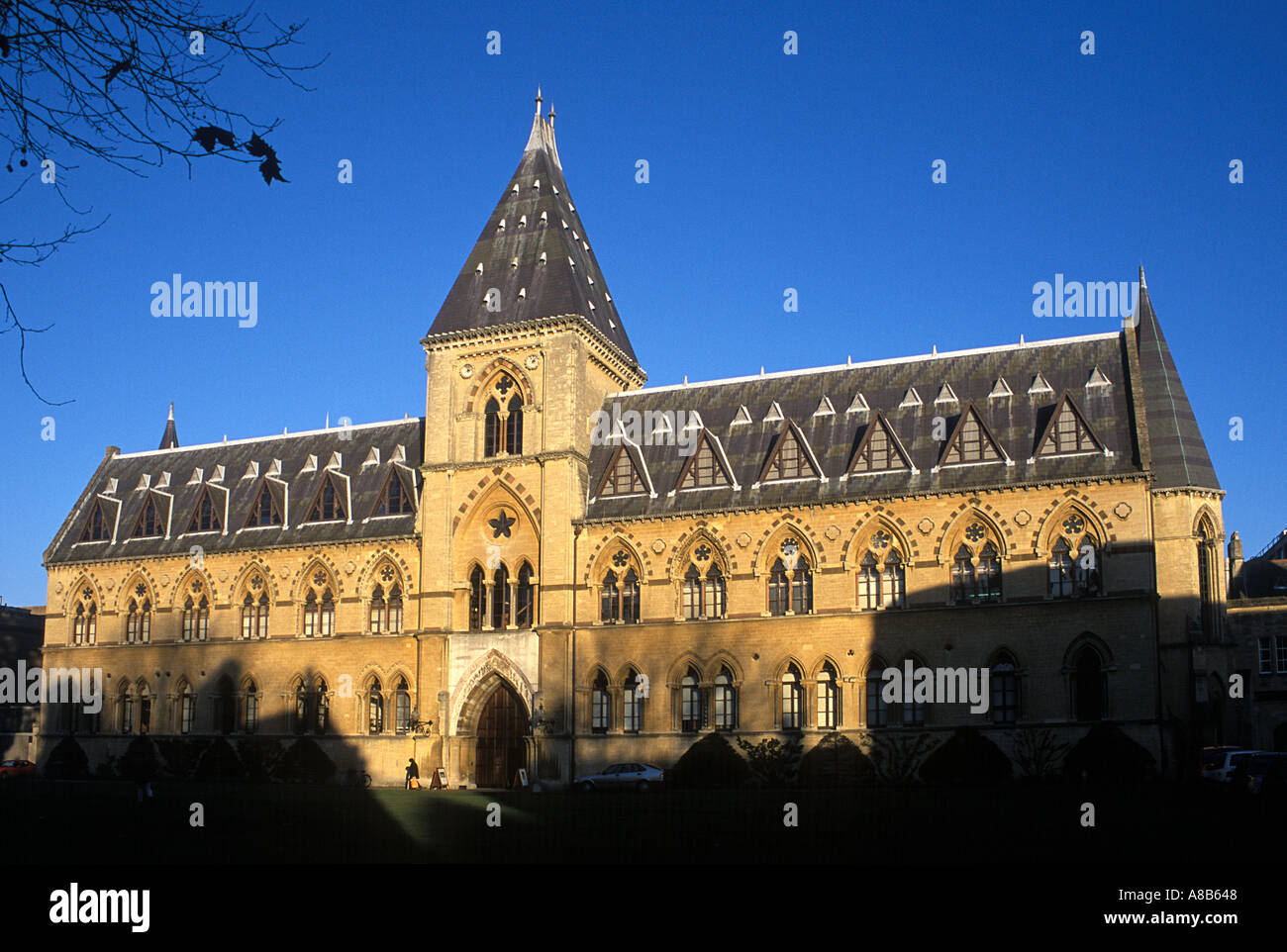 Oxford University Museum of Natural History von Benjamin Woodward abgeschlossen im Jahre 1860 Stockfoto