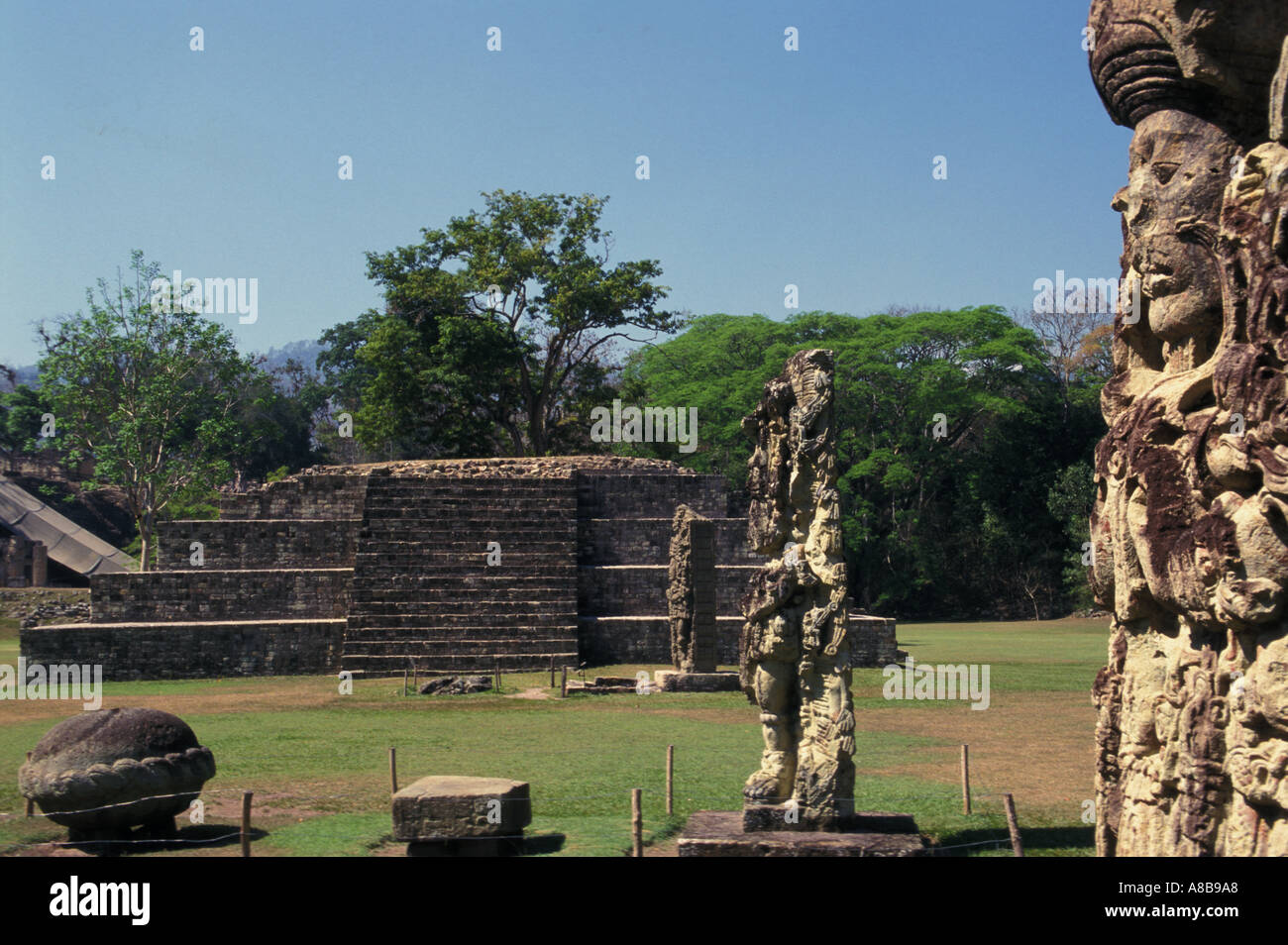 Honduras Copan Gran Plaza Tempel IV Stele A 4 und B Stockfoto