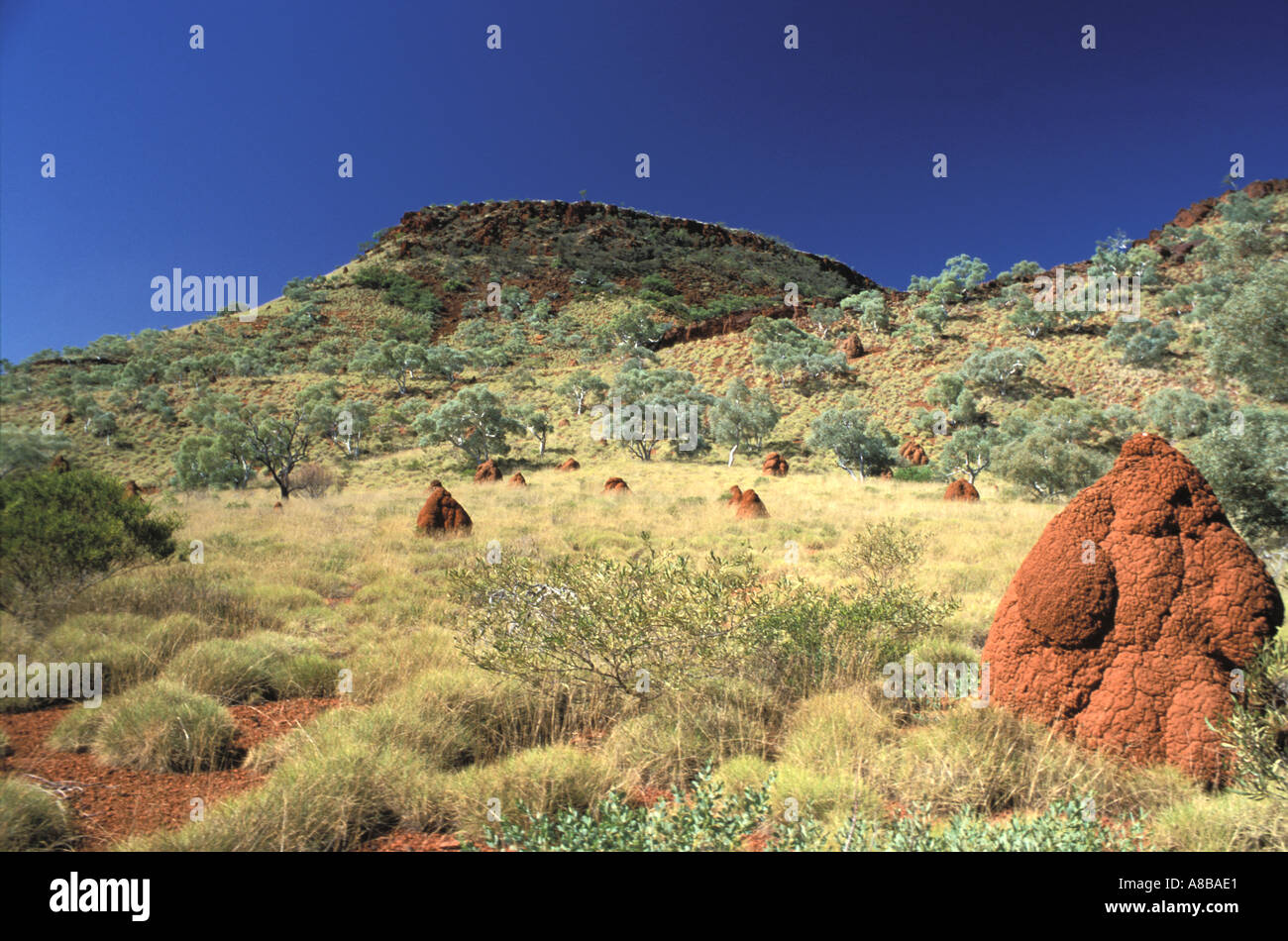 Australien Karijini Nationalpark Mount Bruce und Termite mounds Stockfoto