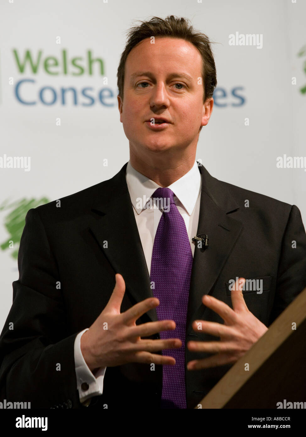 Premierminister David Cameron bei einer Waliser konservative Partei-Konferenz Stockfoto