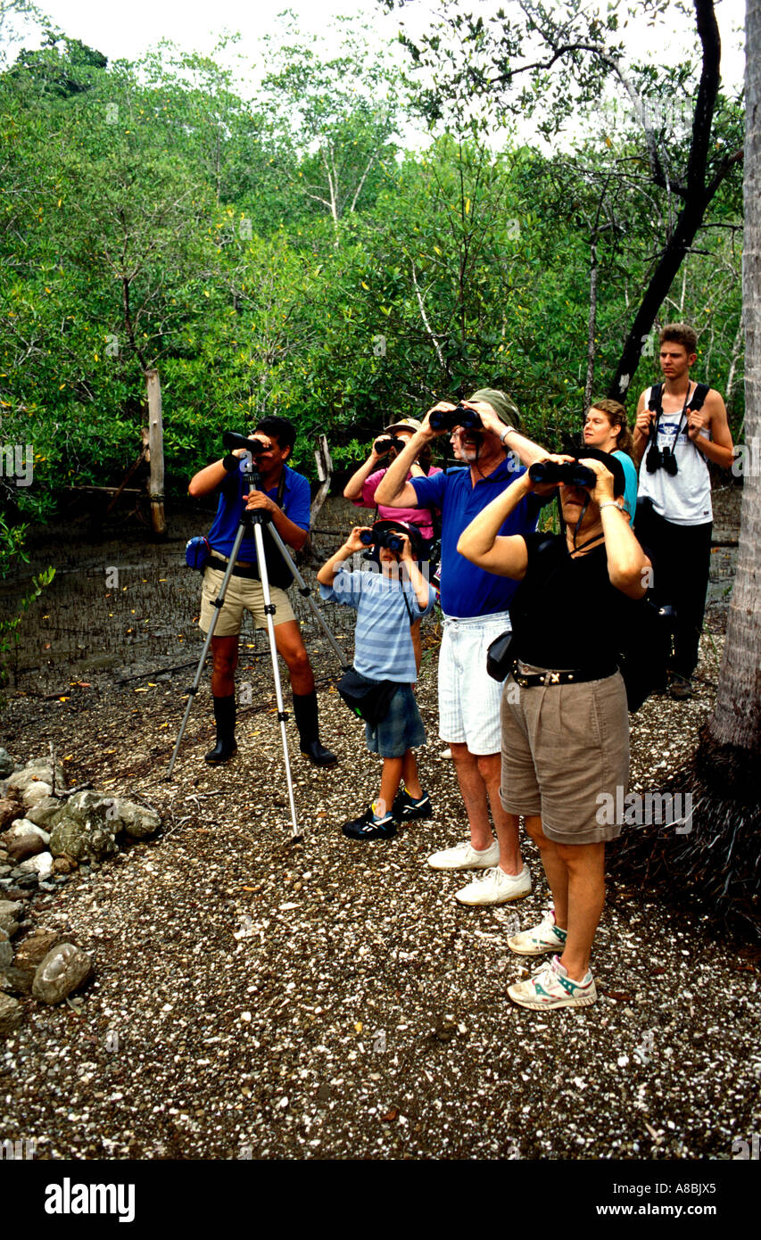 Costa Rica-Natur-Tour im tropischen Regenwald Stockfoto