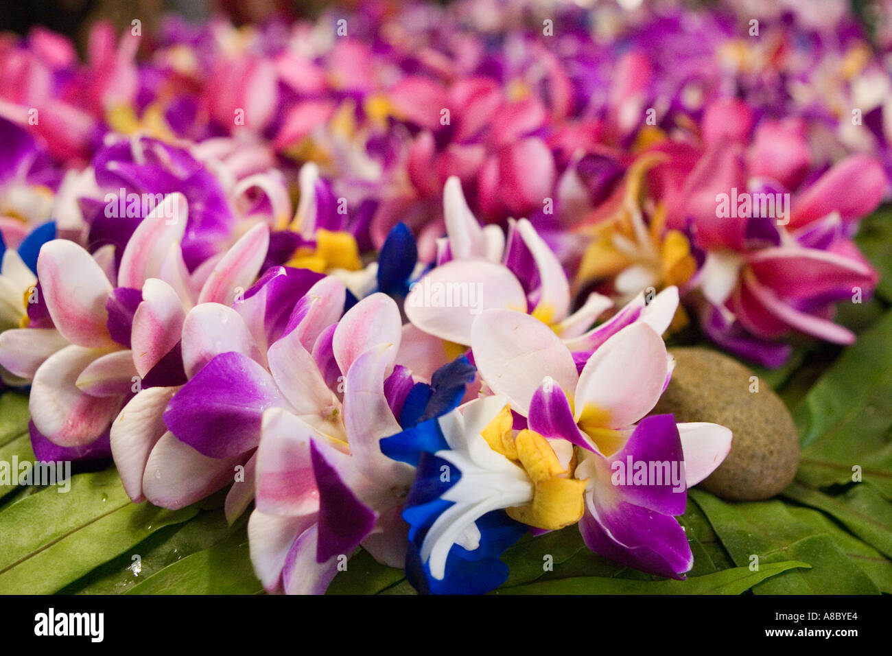 Hawaiian Lei Leis-Polynesien rosa rot grün leis Stockfoto