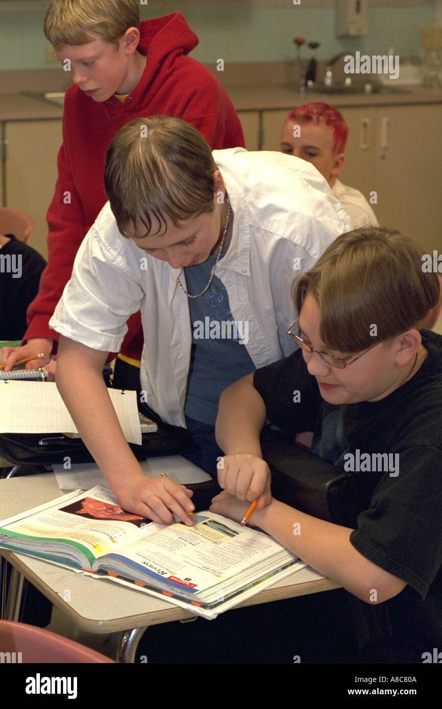 Zwei Schüler an einer Schule Klassenzimmer Zuordnung Alter von 14 Jahren arbeiten. Golden Valley, Minnesota USA Stockfoto