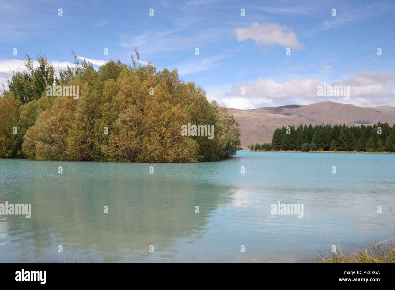 Neuseeland, Südinsel, Lake Ruataniwha Ade 221 Stockfoto