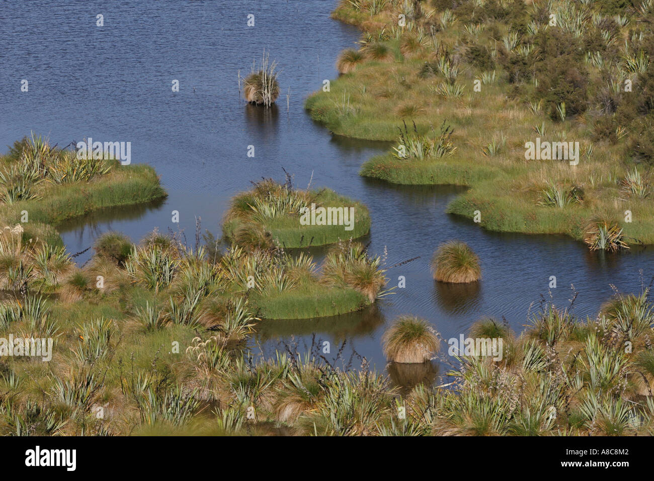 Neuseeland, Südinsel, Redcliff Wetland Reserve Ade 191 Stockfoto