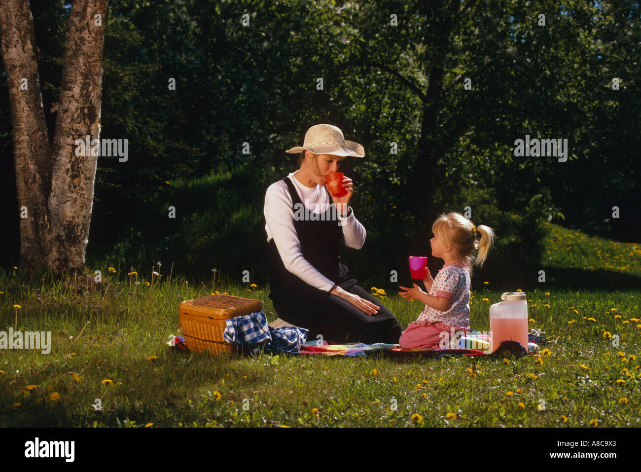 Mutter Tochter mit Picknick im Park, USA Stockfoto