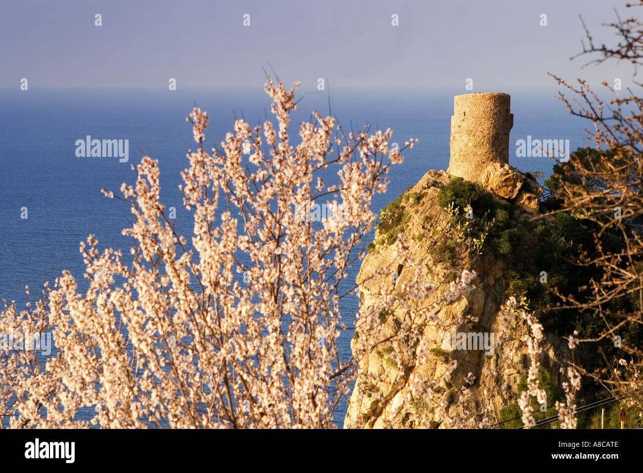 Mallorca historische Lookout tower an der Westküste Mirador de Ses Animes Almond blossom Stockfoto