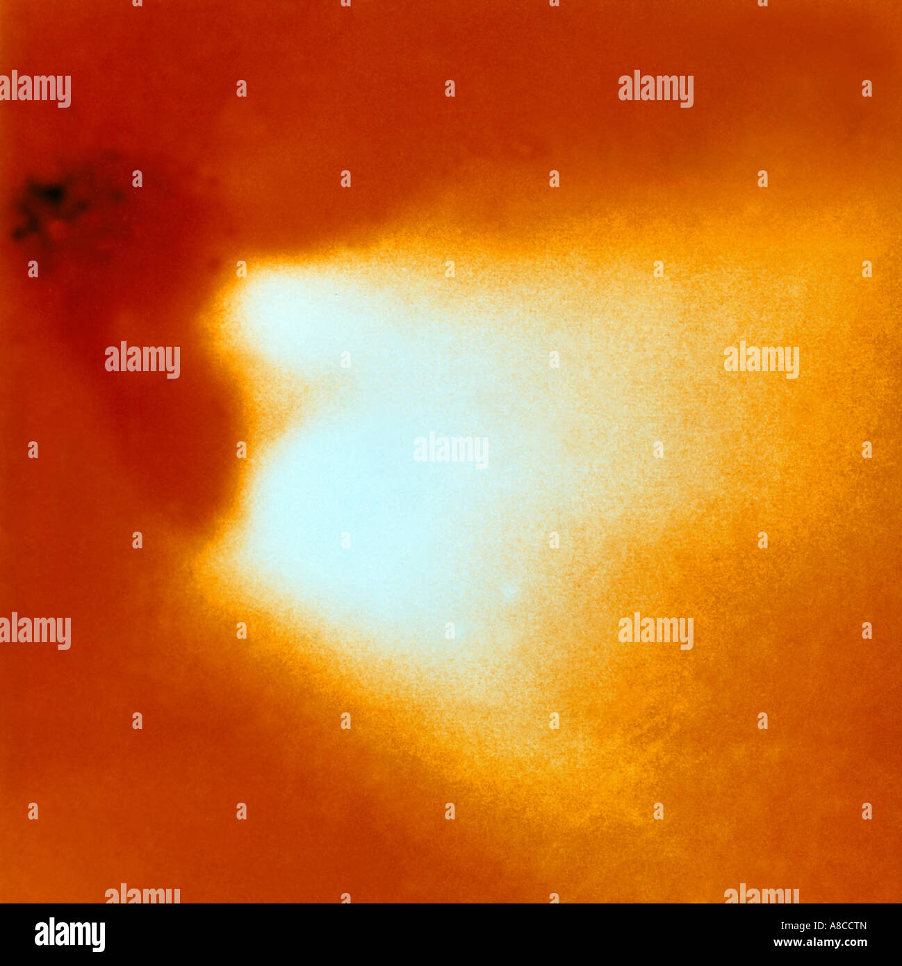 Halleys Komet Stockfoto