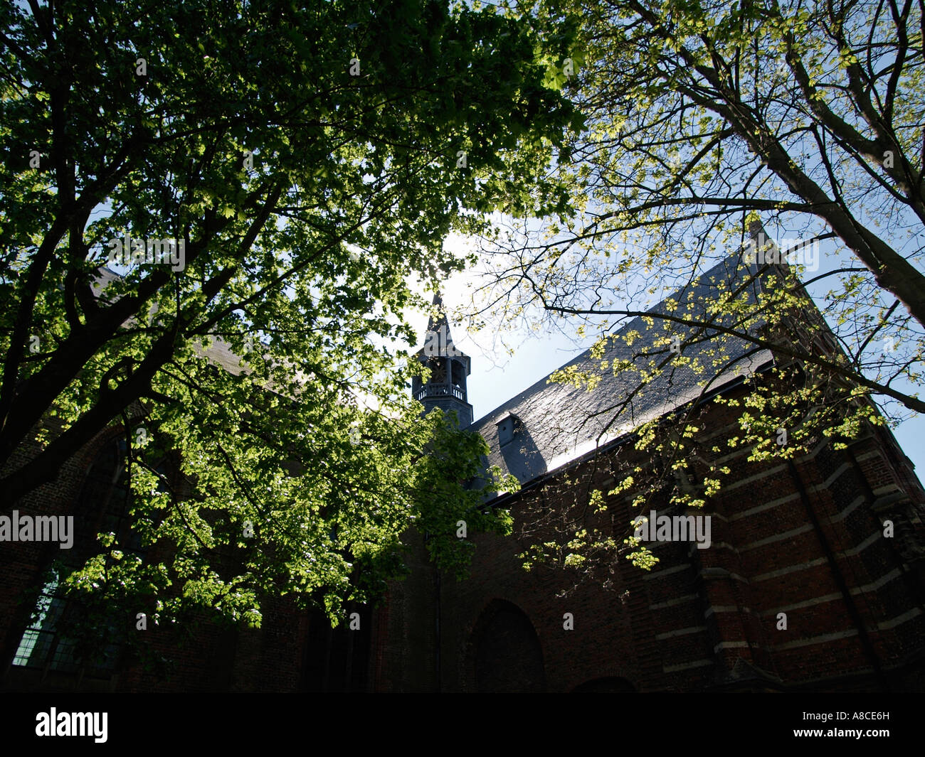 Saint Catherine Church in der historischen Stadt Heusden Noord Brabant die Niederlande Stockfoto