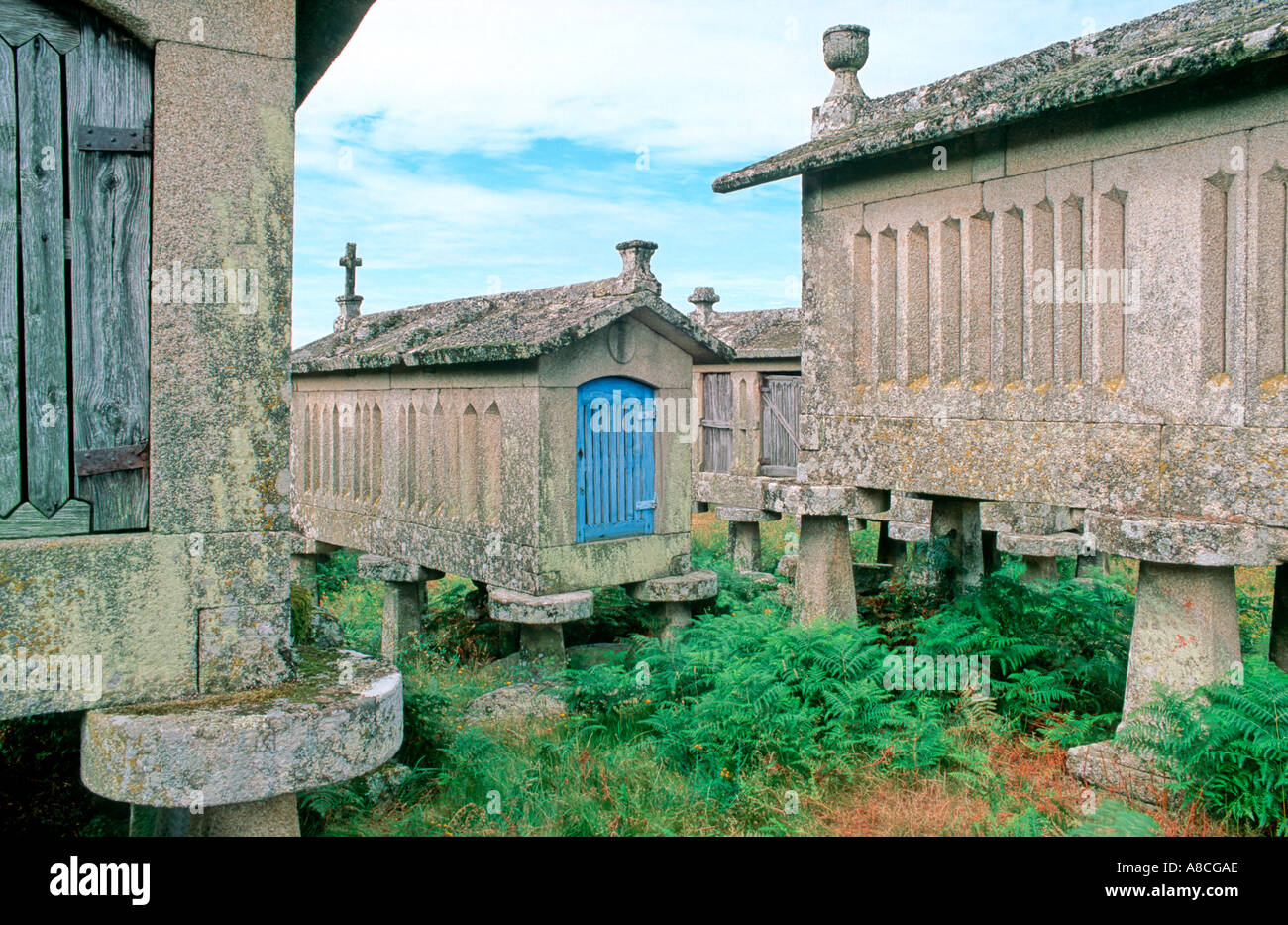 Traditionelle Getreide Lagerhäuser Spalieren Lindoso Nationalpark Peneda Geres Portugal Europa Stockfoto