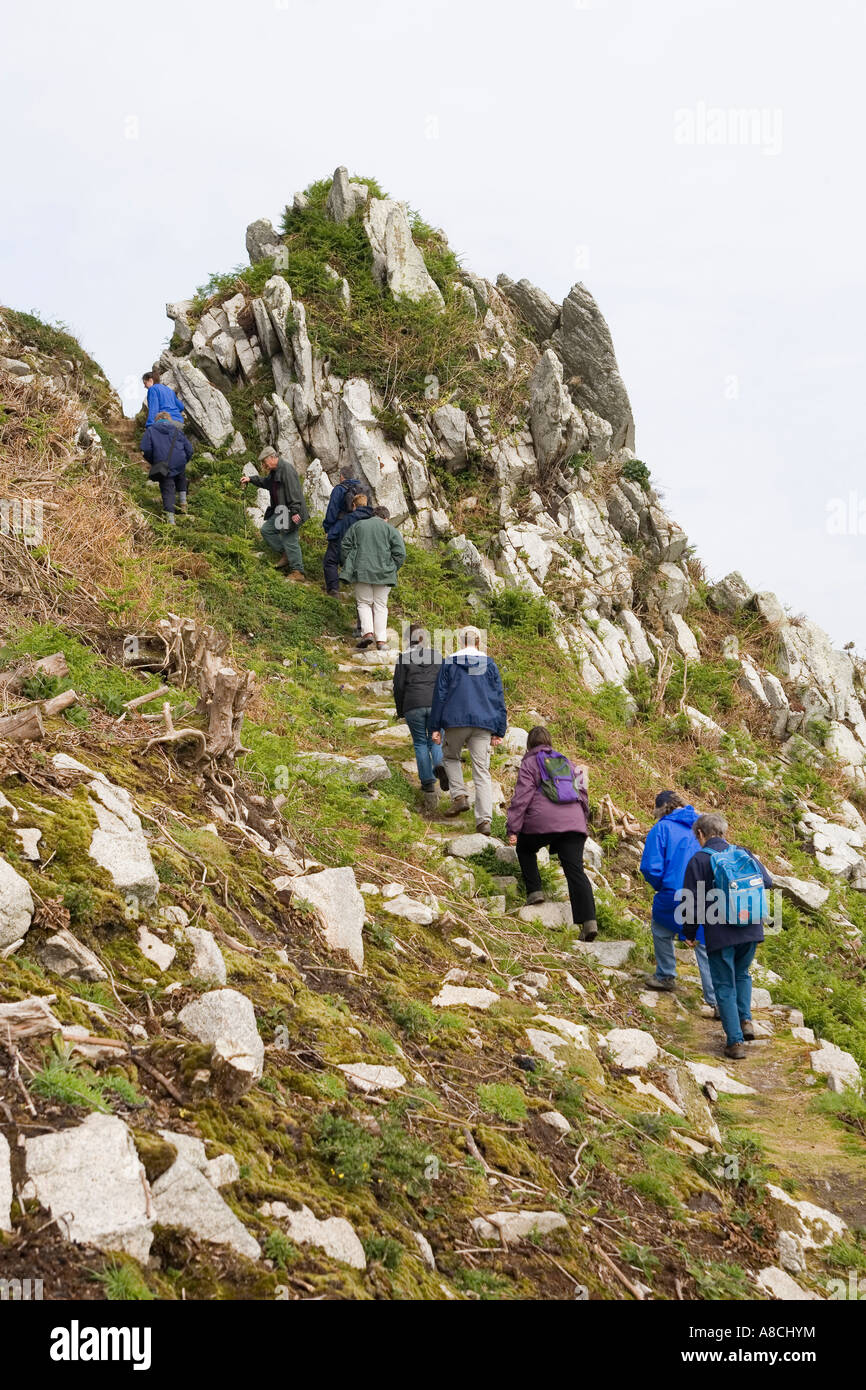 UK Lundy Island-Chefin geführte Naturwanderung auf steilen Abschnitt der Ostküste Klippe Pfad führt Stockfoto