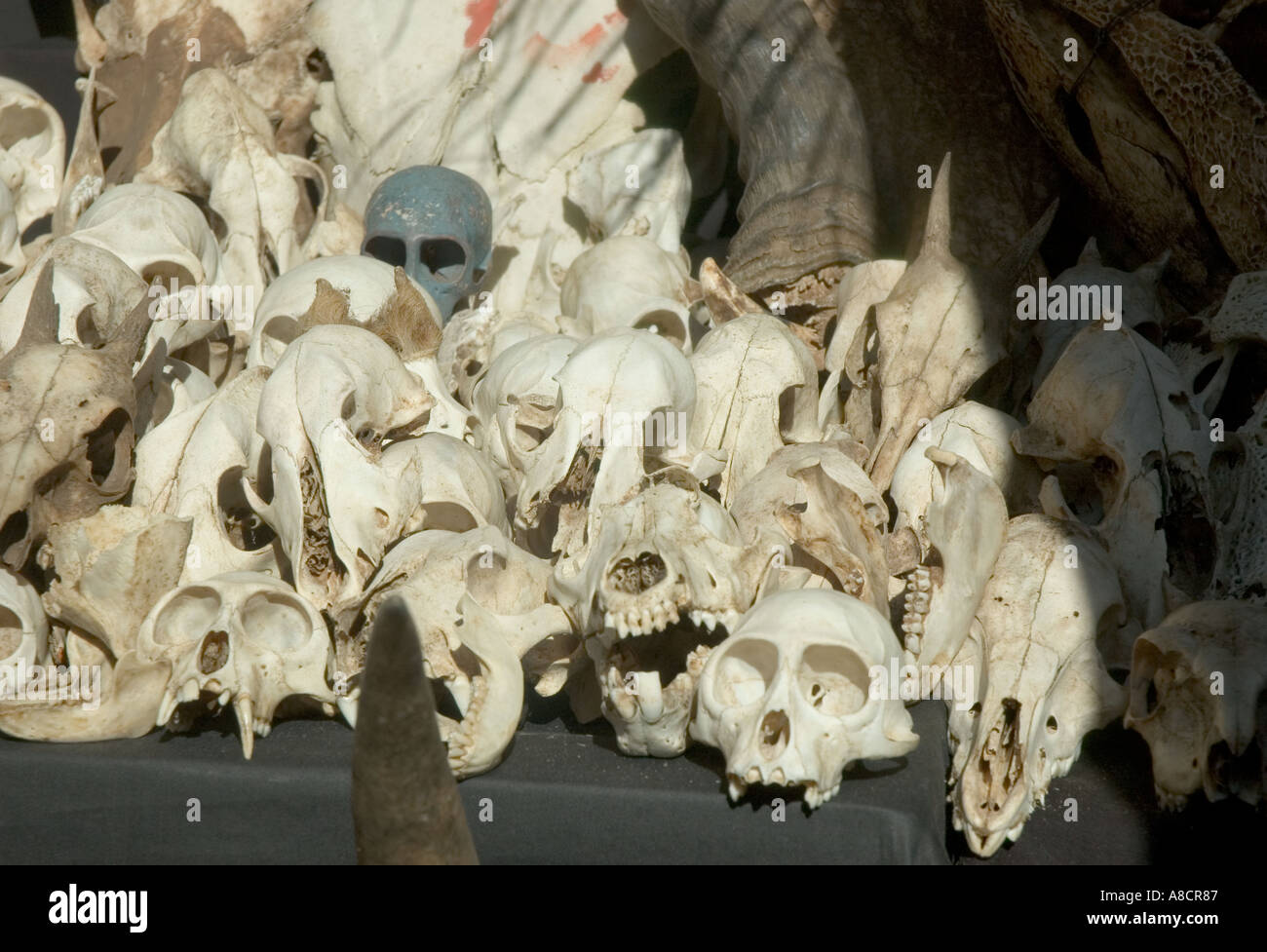 Fenster in eine Kunstgalerie in Zürich Schweiz Stockfoto