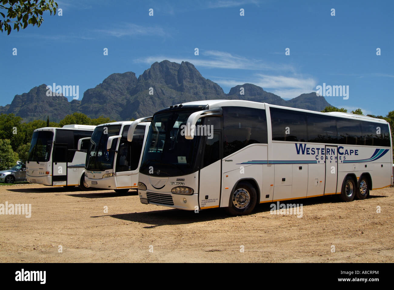 Sightseeing Busse und Berge Seen in der Nähe von Stellenbosch auf einer Reise von Kapstadt Südafrika RSA Stockfoto