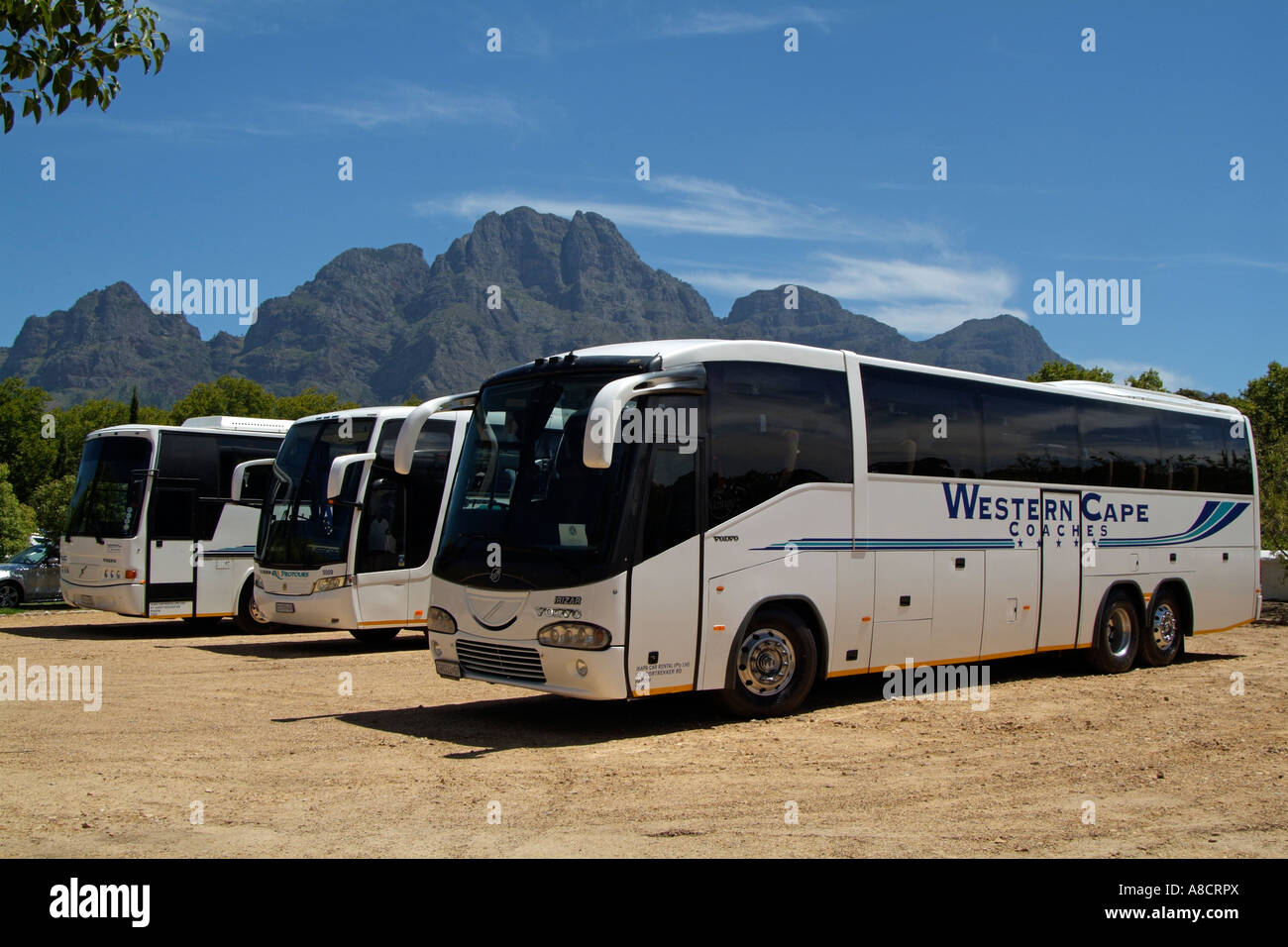 Sightseeing Busse und Berge Seen in der Nähe von Stellenbosch auf einer Reise von Kapstadt Südafrika RSA Stockfoto