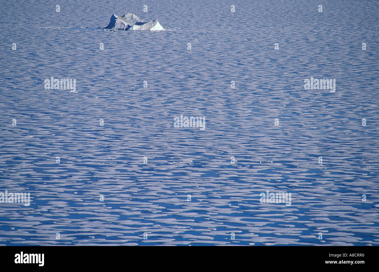 Packeis auf Alexandra Fiord Ellesmere Island kanadische Arktis Stockfoto