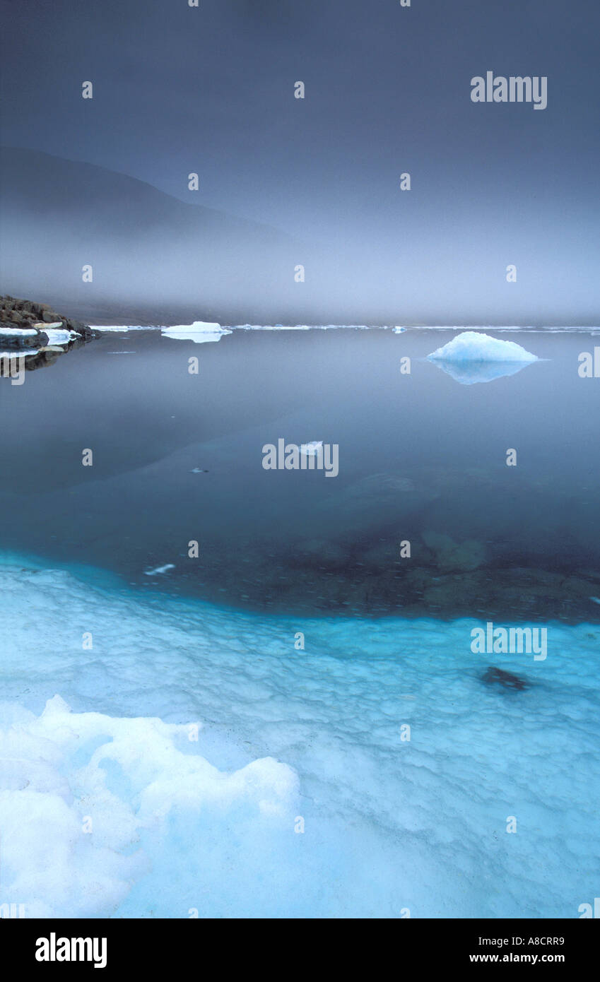 Alexandra Fiord Ellesmere Island kanadischen Arktis Stockfoto