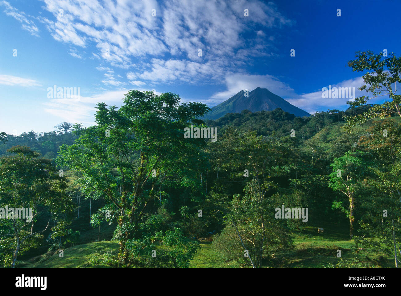 Vulkan Arenal Zona Norte costarica Stockfoto