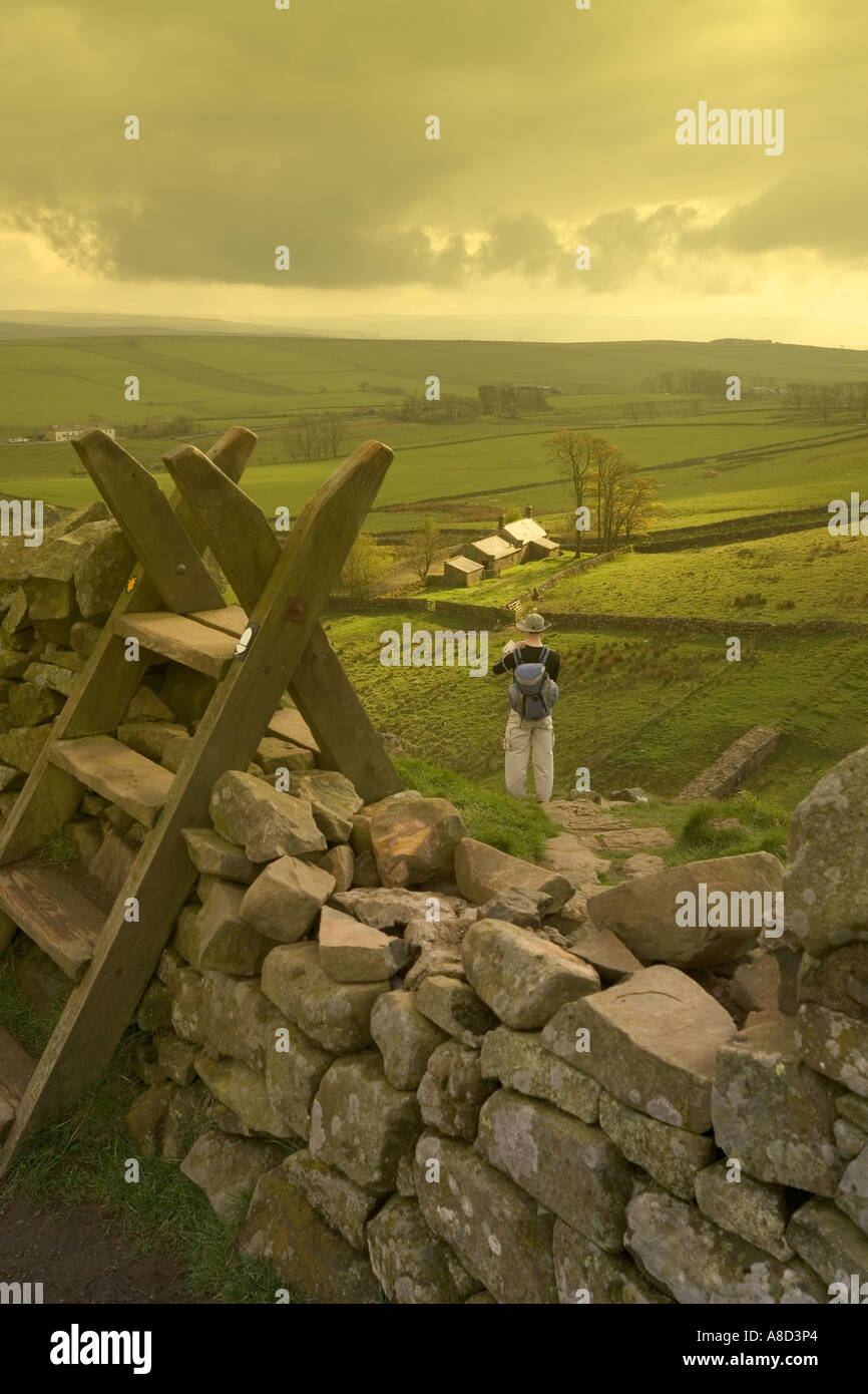 Ein Walker Überprüfung seine Route auf Hadrian Wand in der Nähe von Stahl Rigg, Northumberland Stockfoto